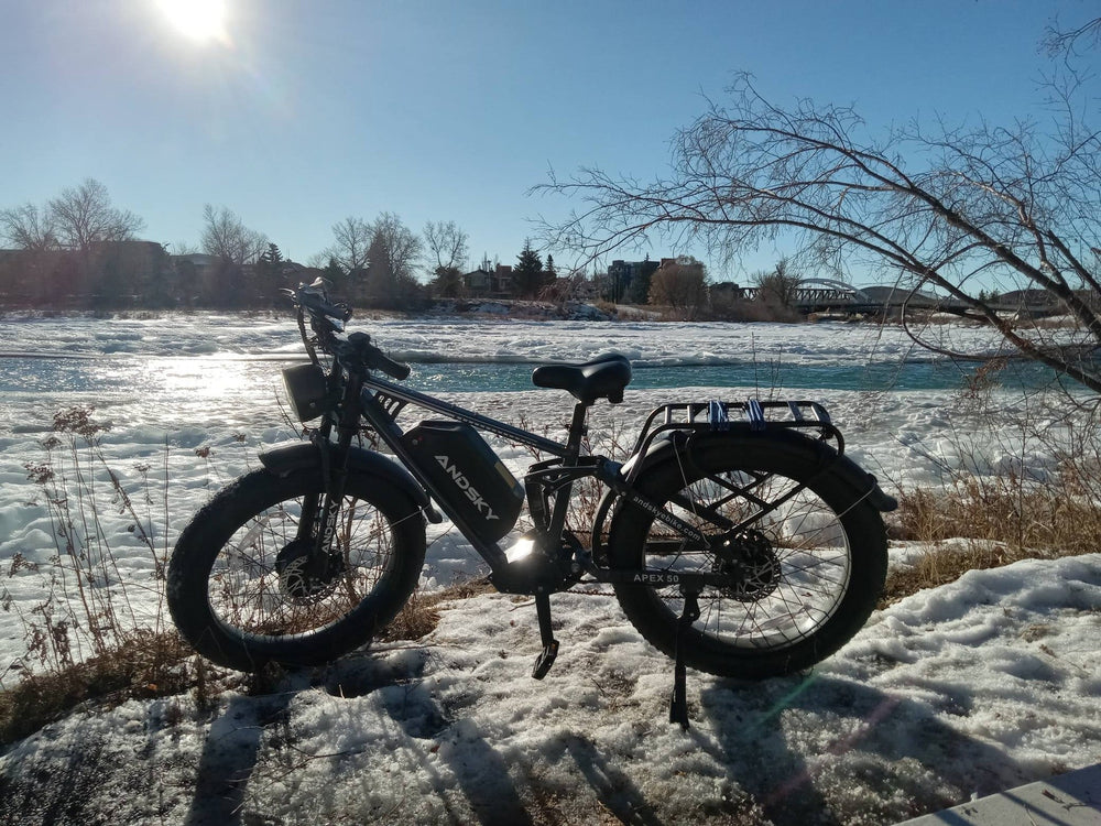 Apex 50 Dual Motor E-Bike Brake Adjustment and Performance Guide